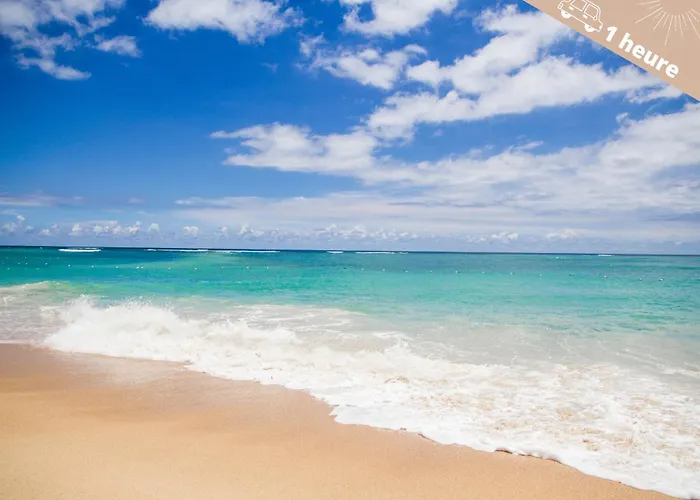 Appartement Le Contemporain Nîmes